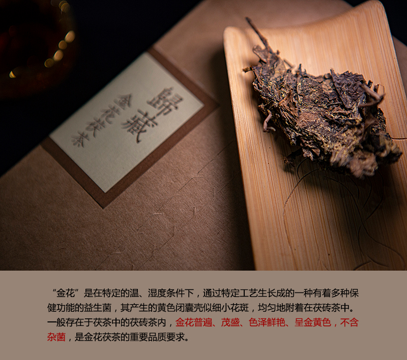 01-金花茯茶-金花-2.jpg